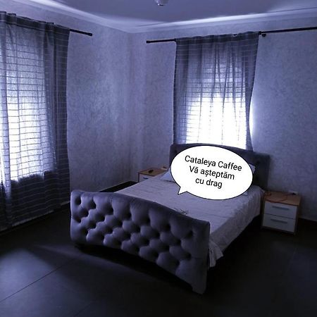 Cataleya Caffee Hostel เรอเดออุตสิ ภายนอก รูปภาพ